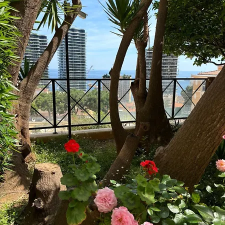 Monte-carlo Confortable Air-conditioned, 8 Mn By Foot 公寓